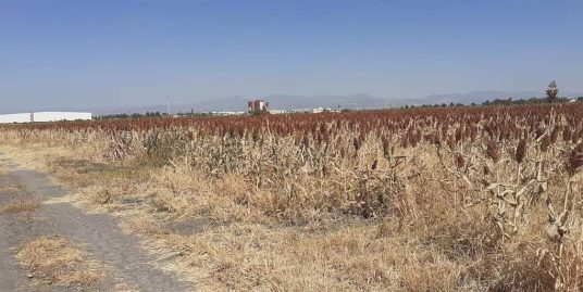 Terreno (carretera Leon-cueramaro)