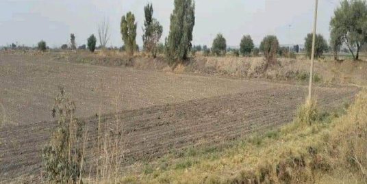Terreno uso Agrícola, Habitacional e Industrial (Sn. Fco. del Rincon)